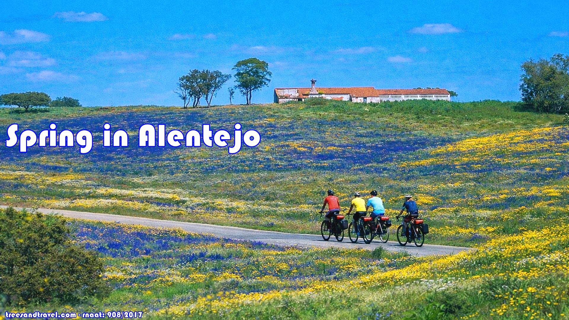 Spring in Alentejo