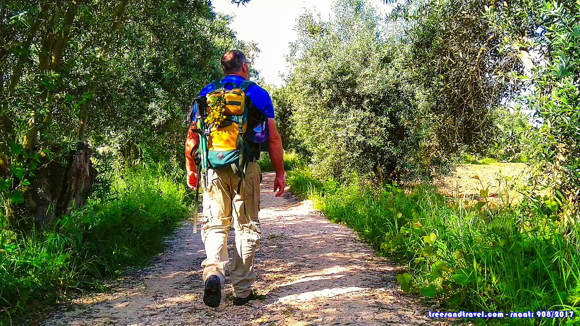 caminhar nas várzeas com um ramo de maias na mochila