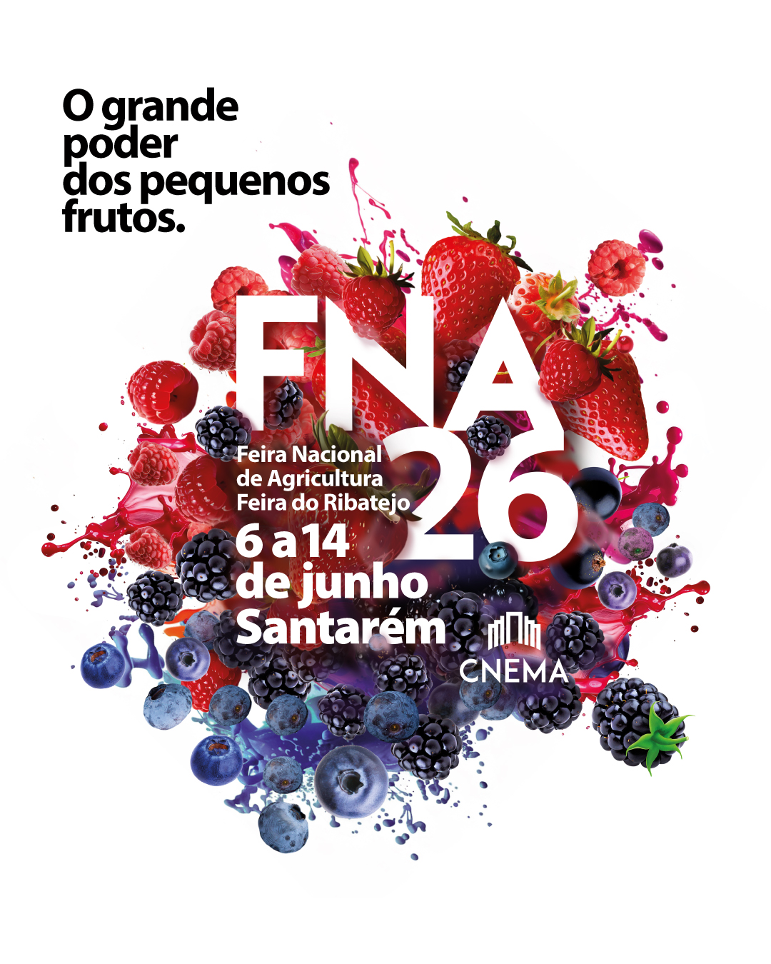 Cartaz FNA 26 - Santarém