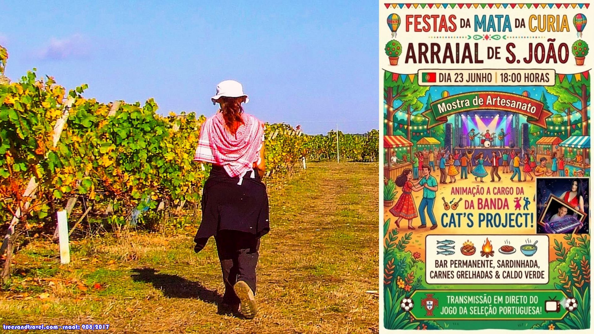 rota nas vinhas - Curia, Bairrada