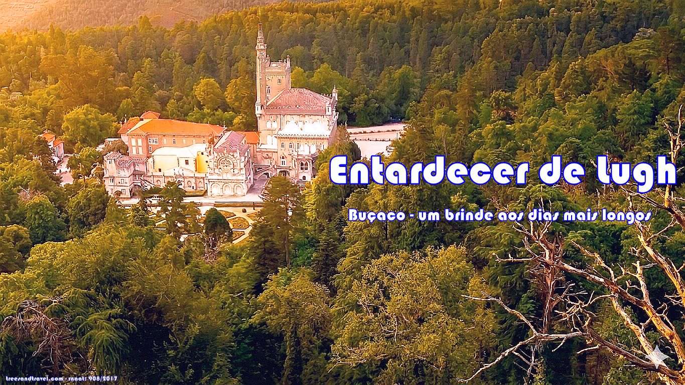 Entardecer de Lugh na Mata do Buçaco
