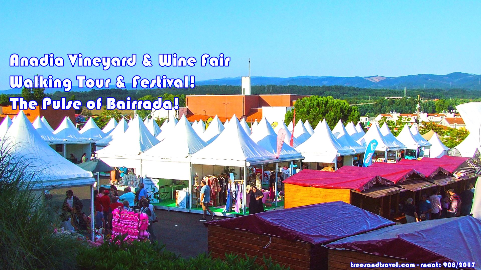Anadia Vineyard and Wine Fair