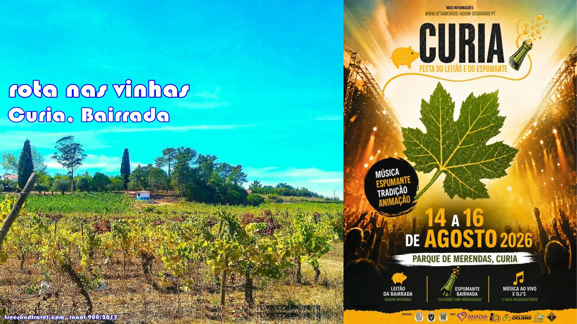 Cartaz Festa Curia