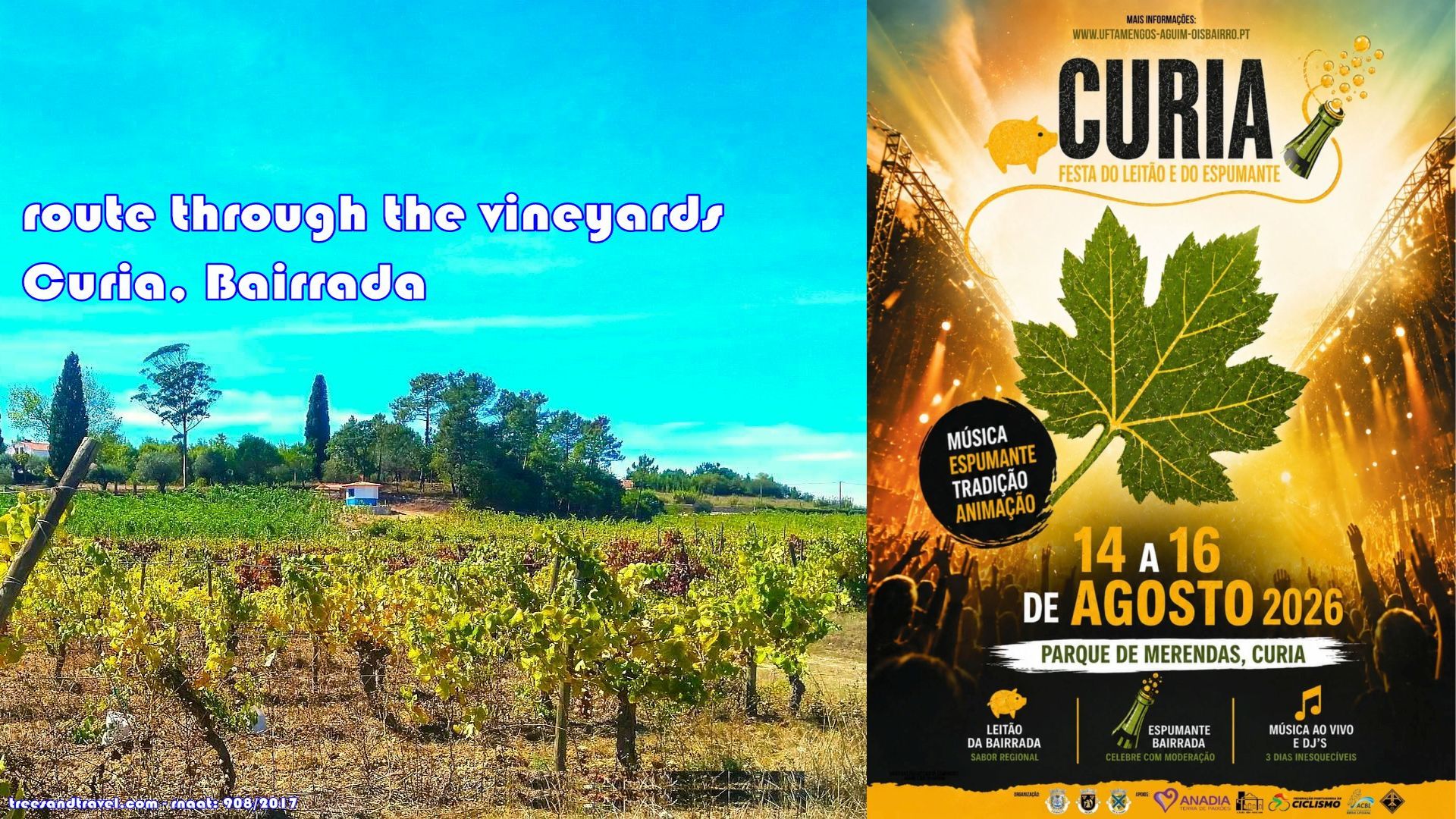 Curia Festival Poster