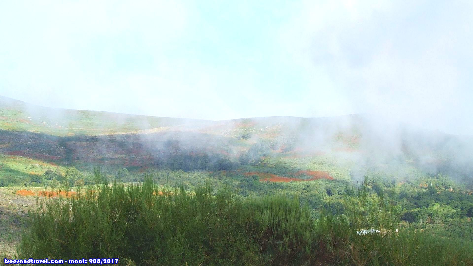 Paisagem de Montanha