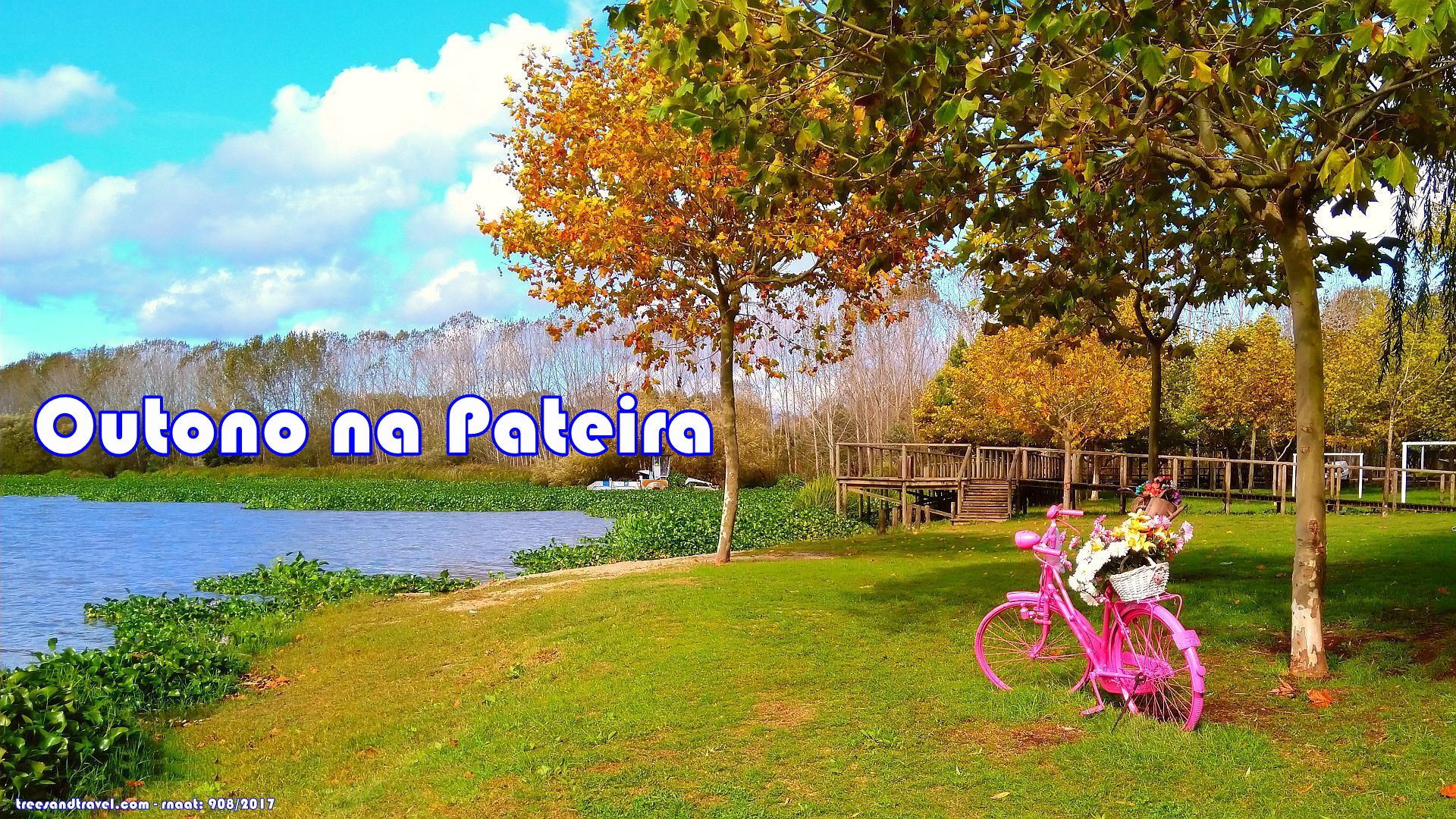Outono na Pateira de Fermentelos