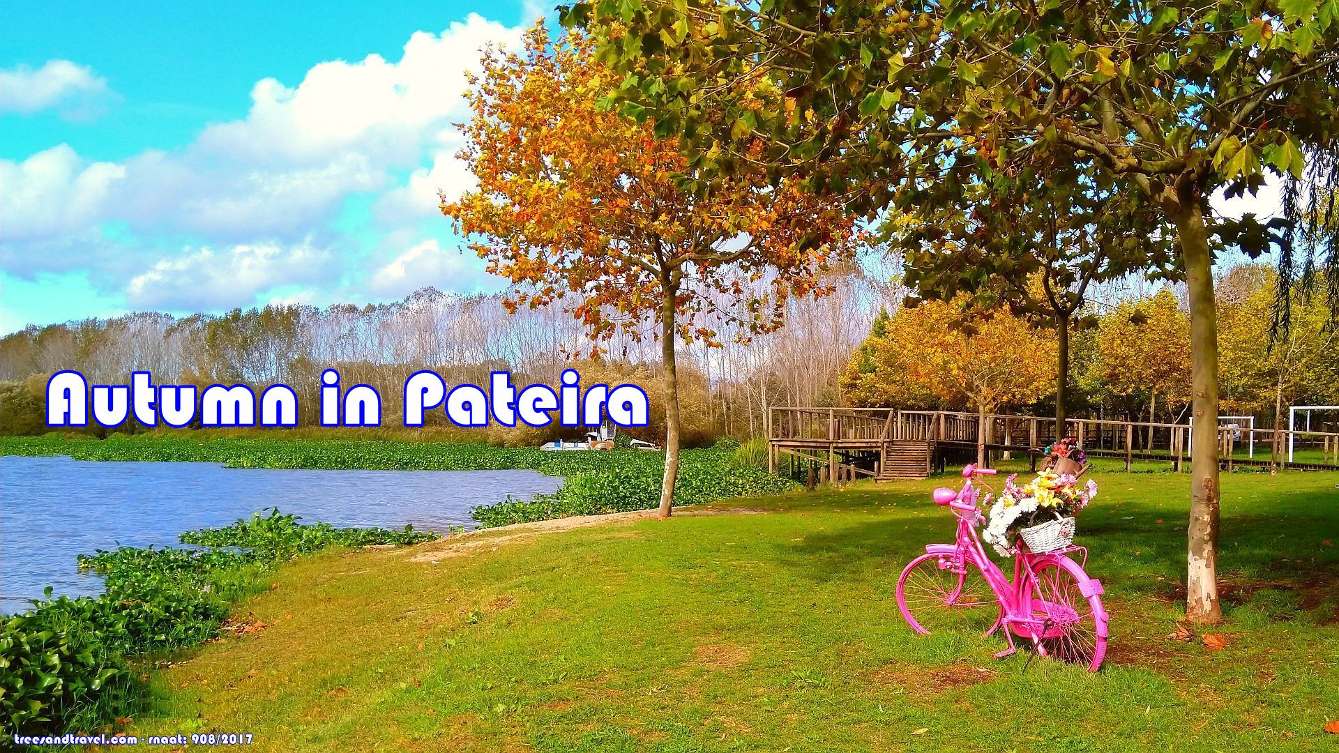 Autumn at the Pateira de Fermentelos